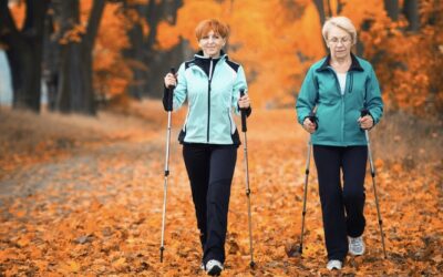 Walking Poles: A Practical Alternative to Stay Active and Balanced